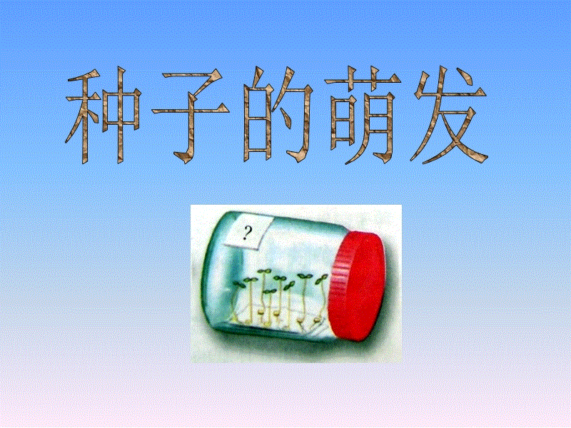 爱游戏下载