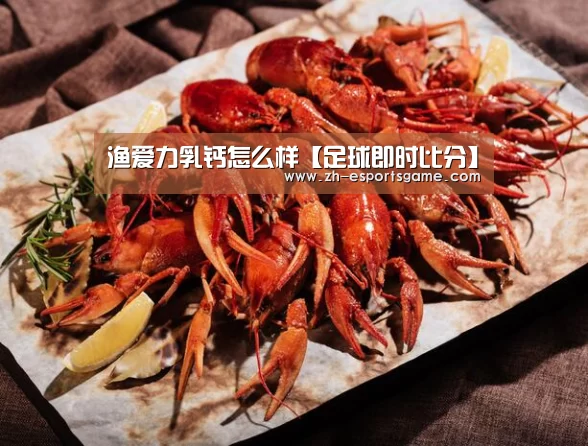 足球即时比分