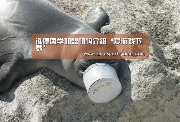 泓德国学加盟机构介绍‘爱游戏下载’(图2) 爱游戏平台