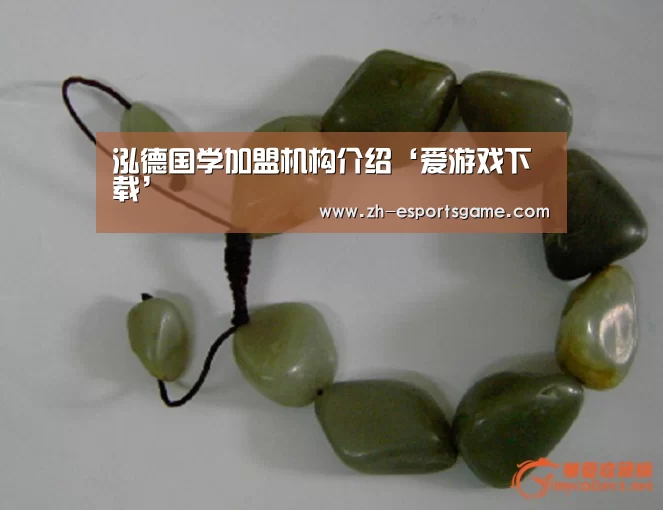泓德国学加盟机构介绍‘爱游戏下载’(图3) 爱游戏平台