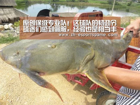 原创保级专业队!这球队的韧劲令球迷们感到佩服,经验也是相当丰富|爱游戏平台(图2) 爱游戏下载